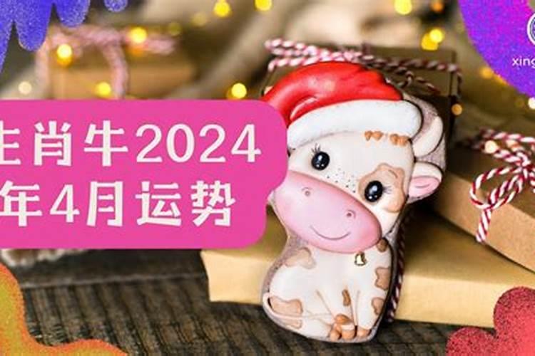 82年属狗人今年运势2021年每月运势