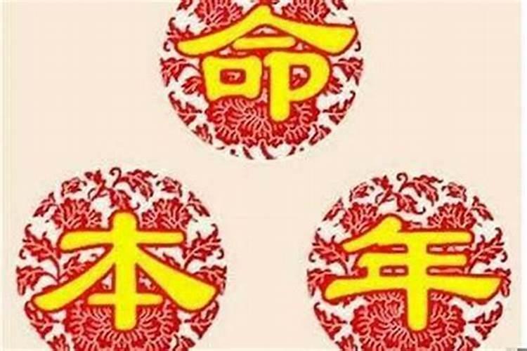 家里财神放什么最旺财