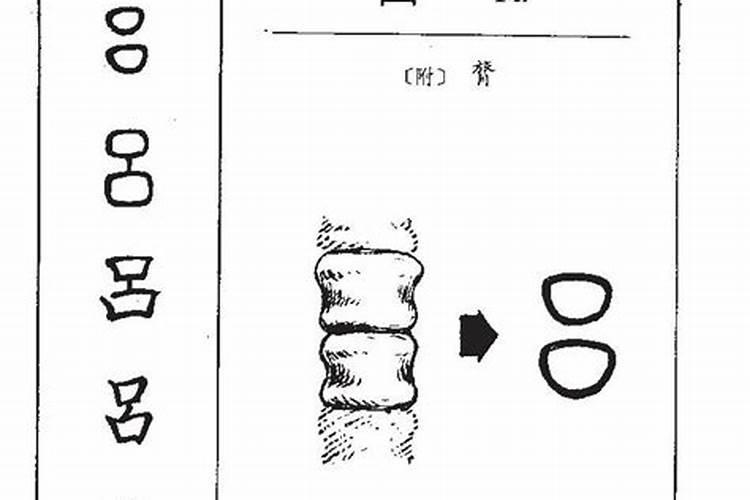 姓吕属狗的本命年运势好吗