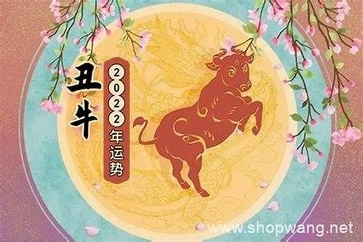 1974年属牛的运程如何