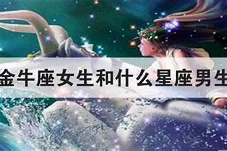 处女座和金牛座配吗相配吗