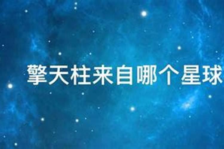 金牛座来自什么星球