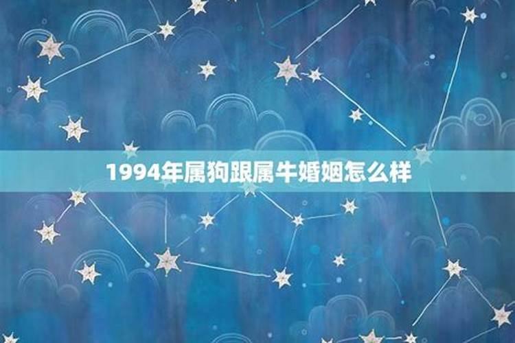 1994年出生的运程和婚姻