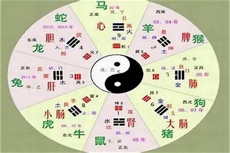 教字五行属什么属性