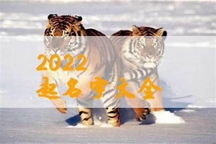 六六年属马女2020年每月运势