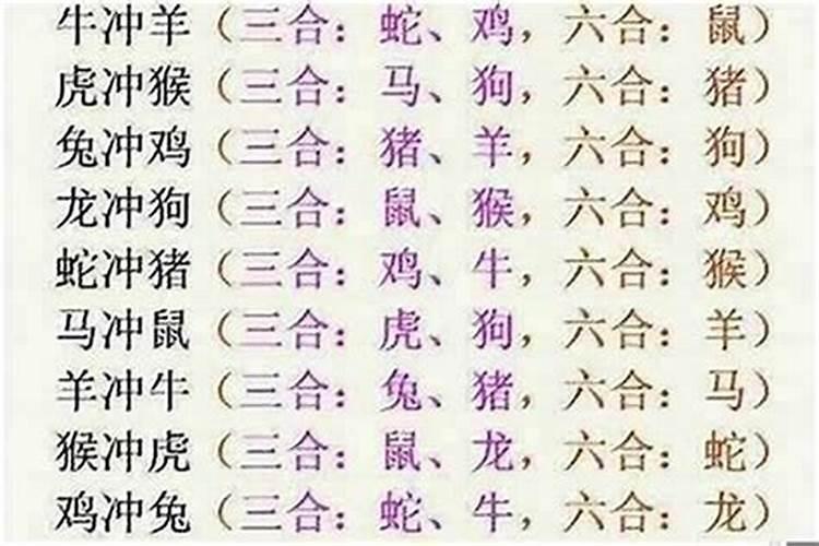 蛇虎八字合不合