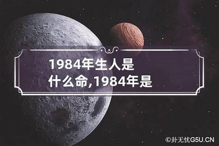 属龙的1976年是什么命运呢女