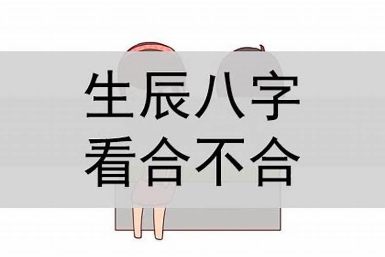 男蛇女狗八字合不合