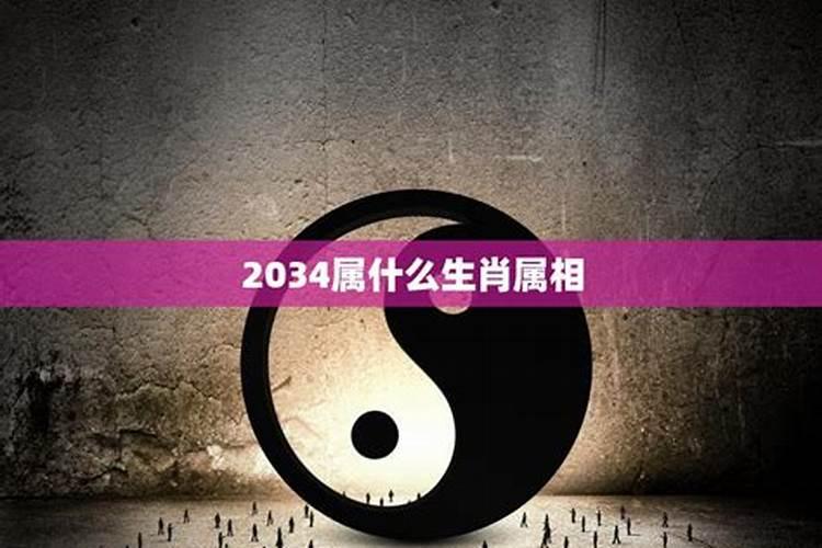 2035是什么生肖