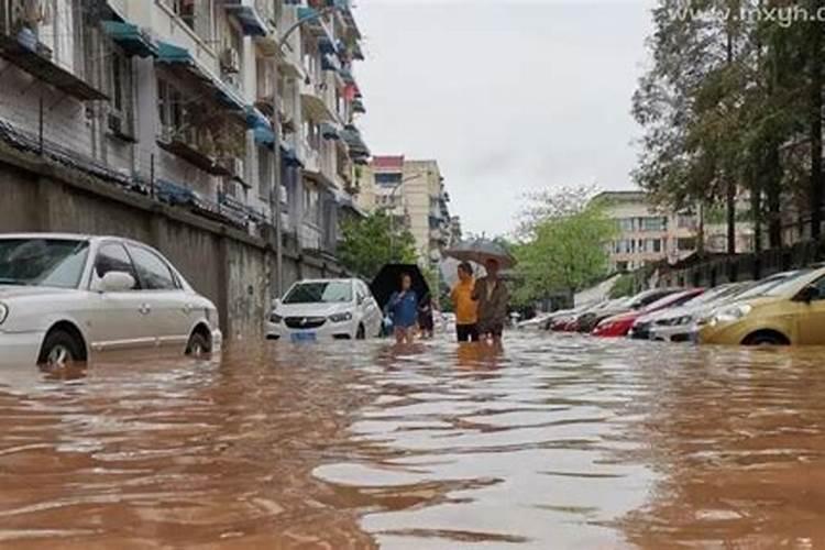 梦见被洪水淹了又游上来了