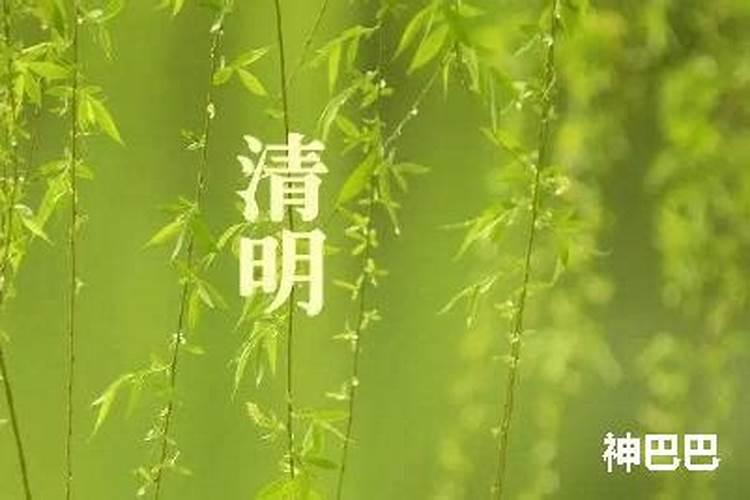 4月5号清明节出生命硬克父母