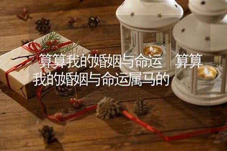 算算我的命运和财运