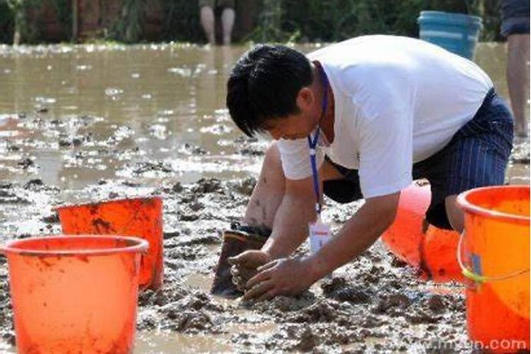 梦见抓泥鳅是什么意思