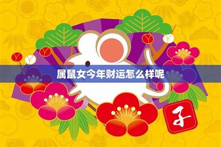 属鼠女今年工作运势