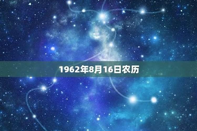 1995农历4月16属猪运势如何