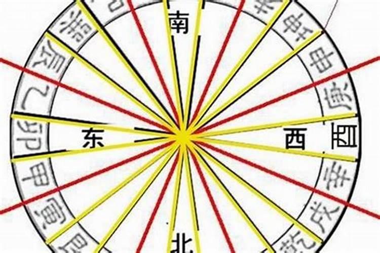 天肖的生肖2024年运程