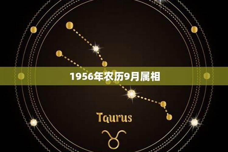 86年农历九月初九属什么