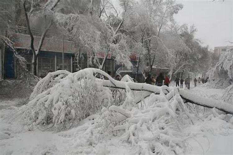 辽阳龙抬头下大雪是哪年