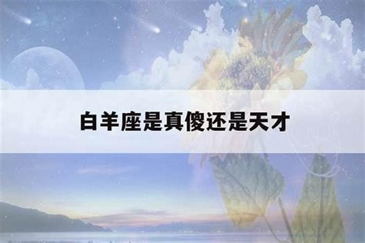 白羊座干什么最厉害