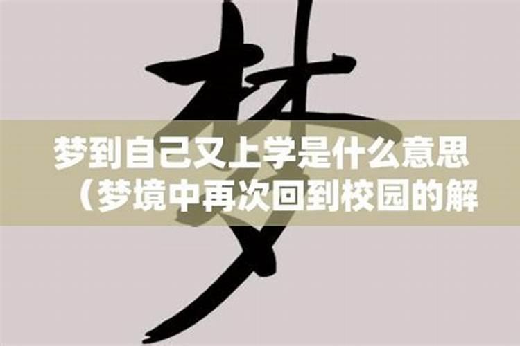 梦到自己回到初中的学校上学