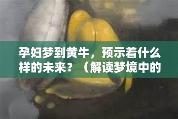 风水揭秘风水中的“弓带水”和“反弓水”有什么不同