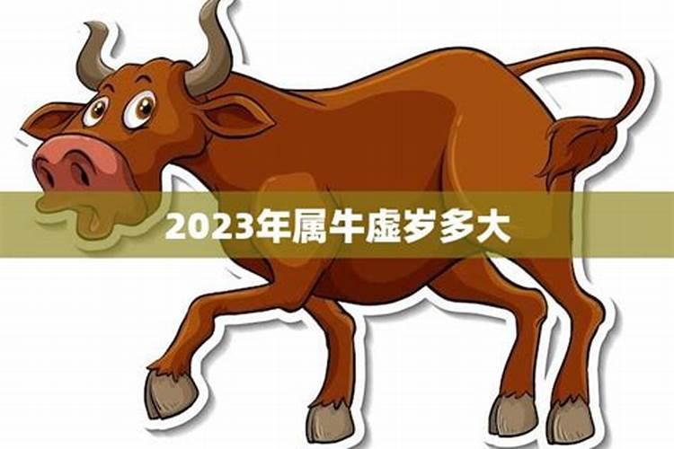 2022年属牛的今年多大