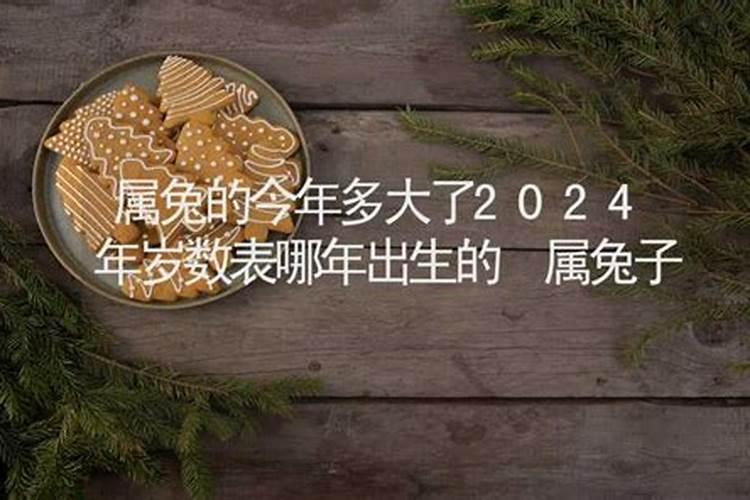 2024年属兔多大