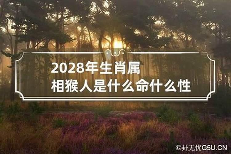 2028年是什么属相的本命年