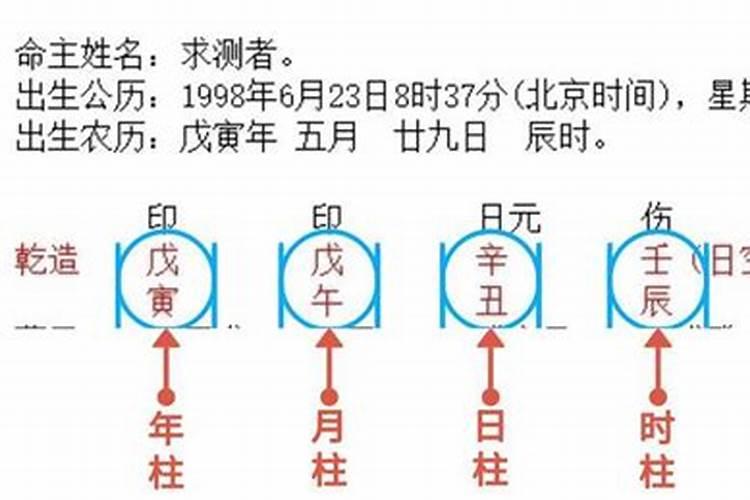 梦见好漂亮的蝴蝶飞