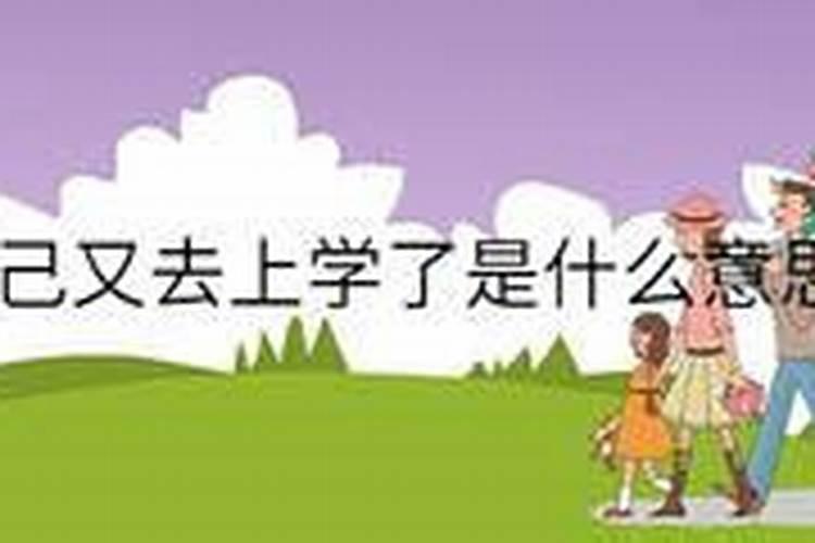 梦到自己回去上小学了