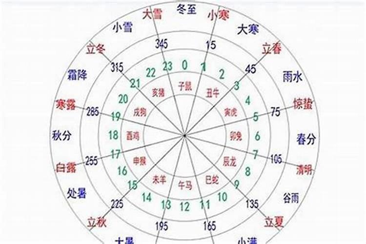 怎么看自己的阴阳五行