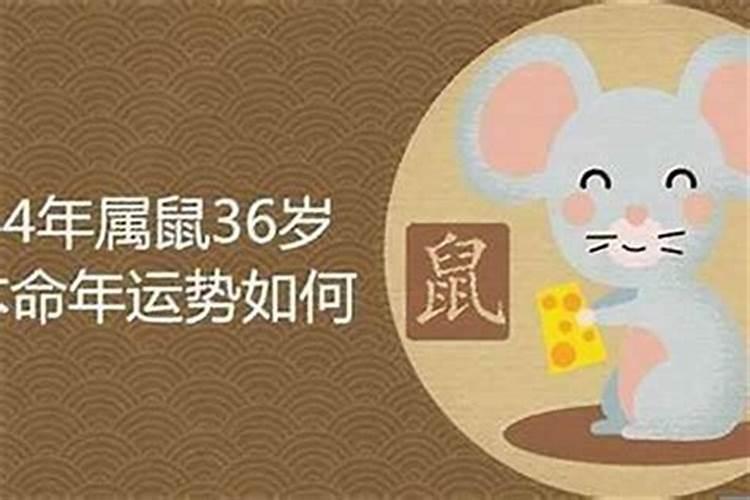 84年正月十五属鼠人命运