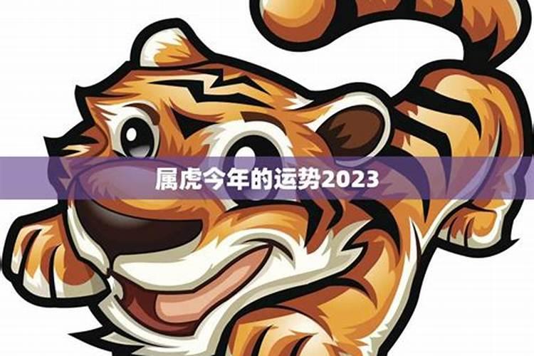 属虎的今年运势2023