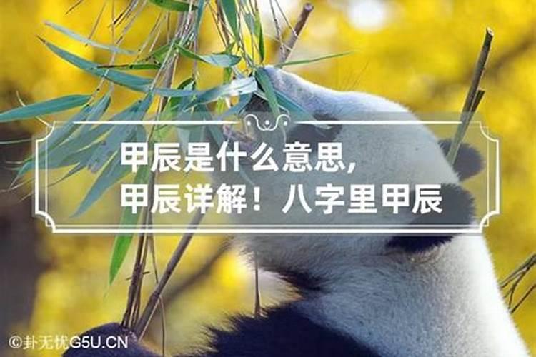 属猴的今年注意什么