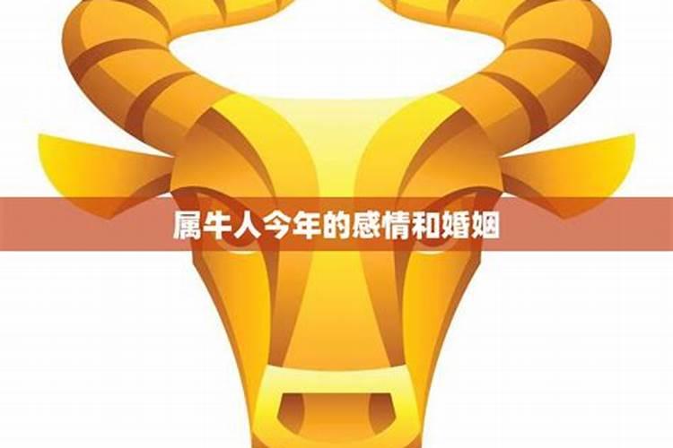 白羊座6月份感情运势2021年