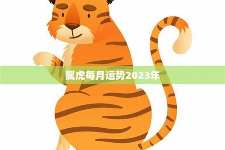 属虎的在2023年运势如何