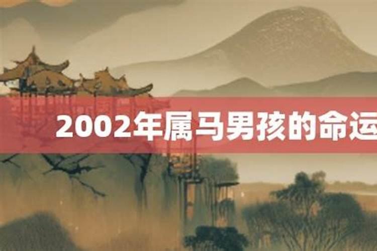 2002年属马的男孩出生命运