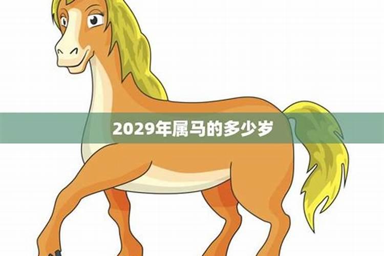 属马的多少岁数2023