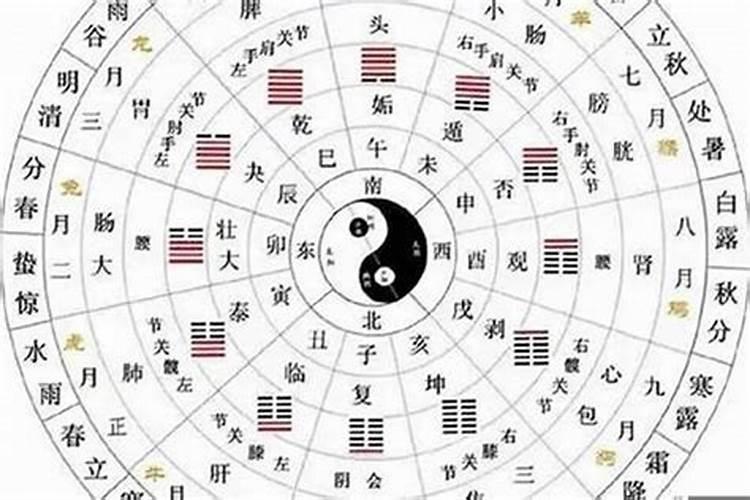 属龙的今年桃花运几月份