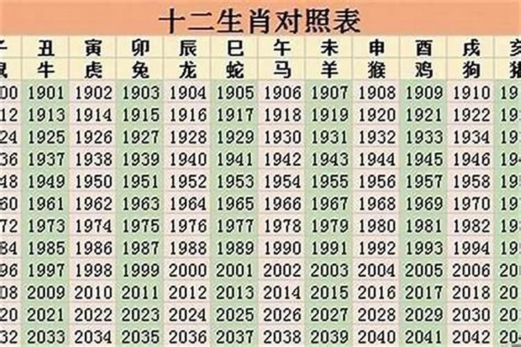 2023年生宝宝的属相