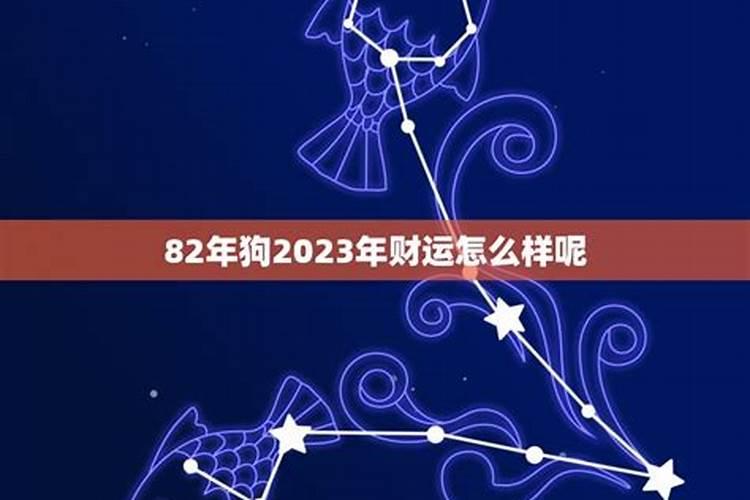 82年狗2023年的运程