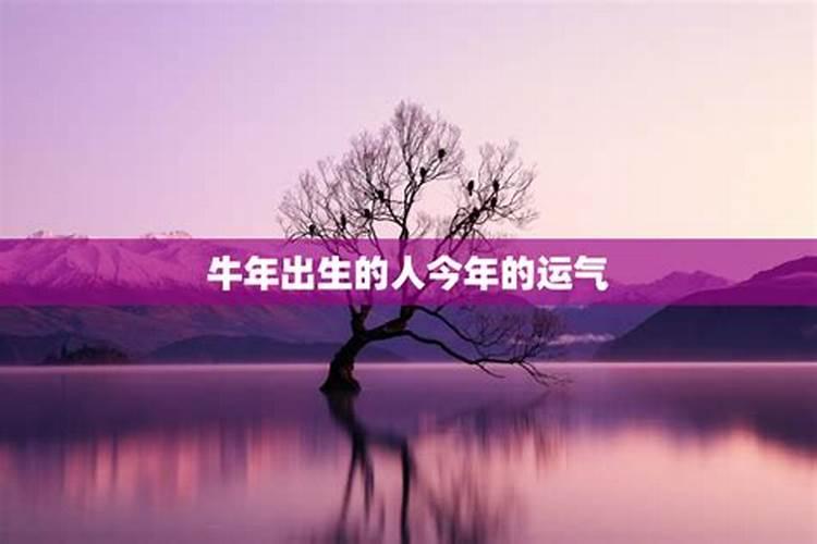 梦见出车祸,人没事儿