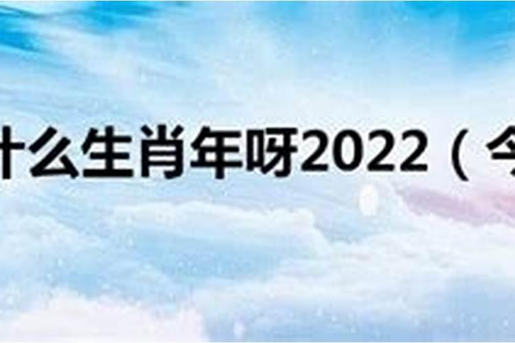 2022今年是什么生肖年呀