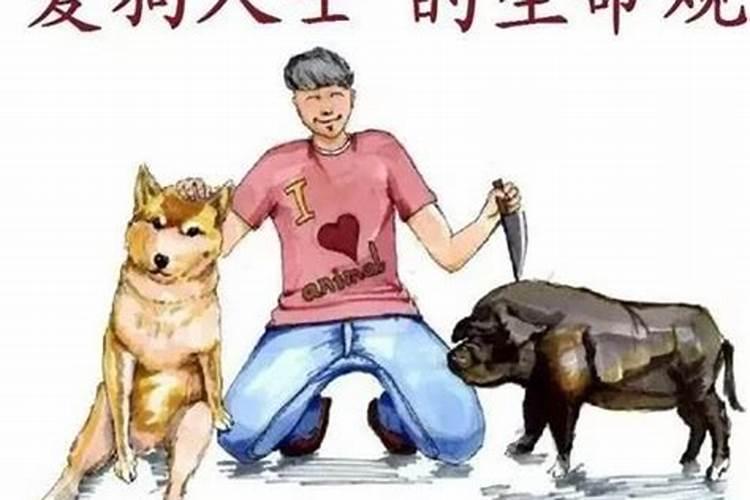 本命年不能吃狗肉