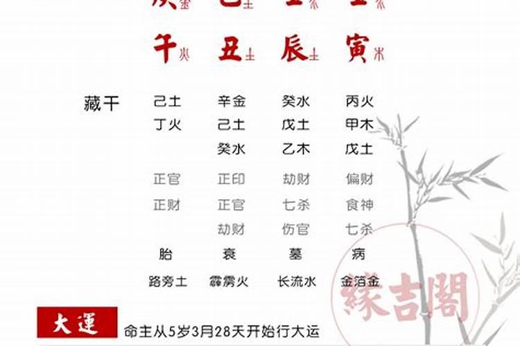 八字能看出配偶年龄吗