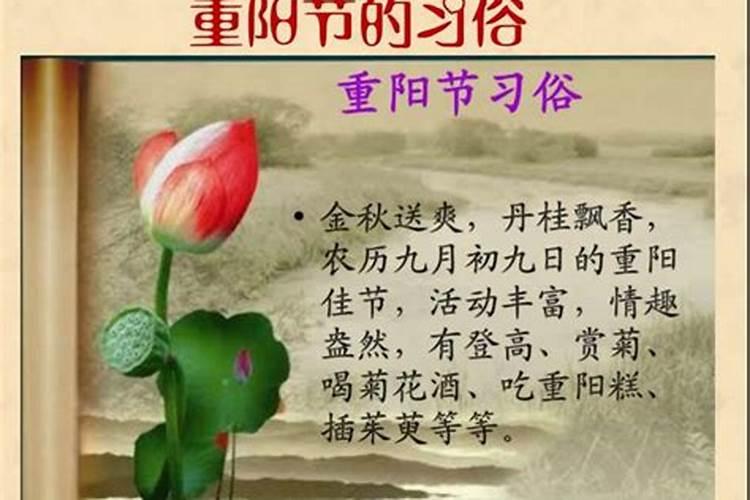 重阳节是哪年诞生的