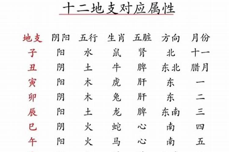 八字只有年月日怎么算命