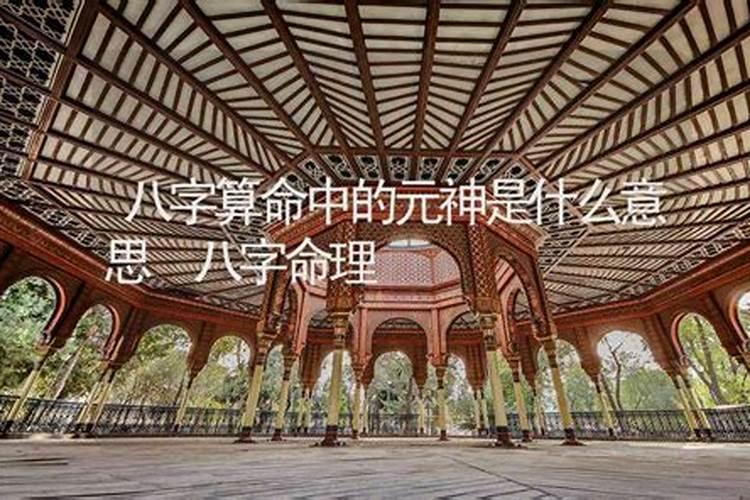 算命元神是什么意思