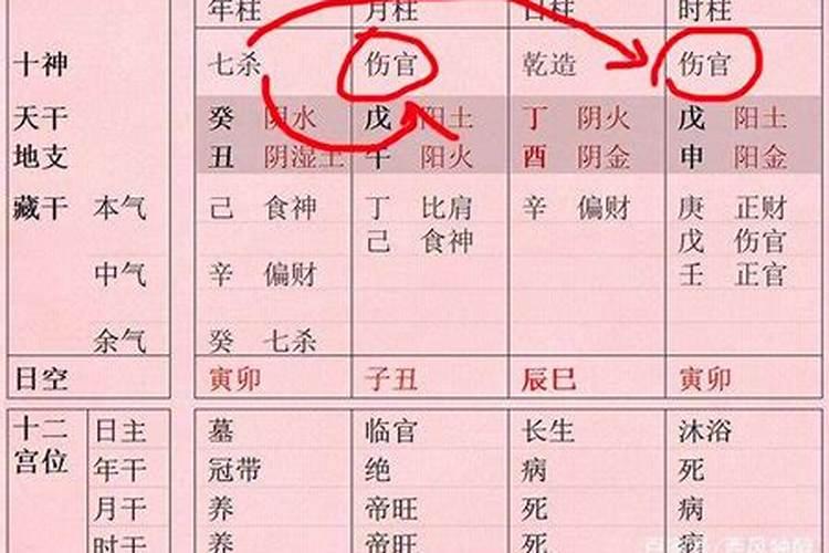 八字十神如何取象