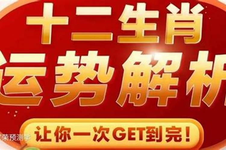 2018属狗人的全年运势及运程